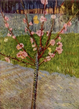  Gogh Art - Amandier en fleur Vincent van Gogh